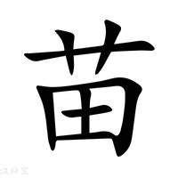 苗字意思|苗姓